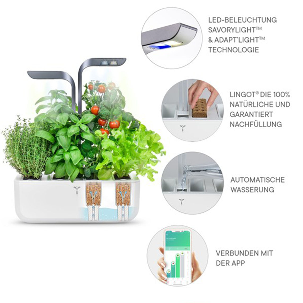 Veritable Connect Indoor Garten