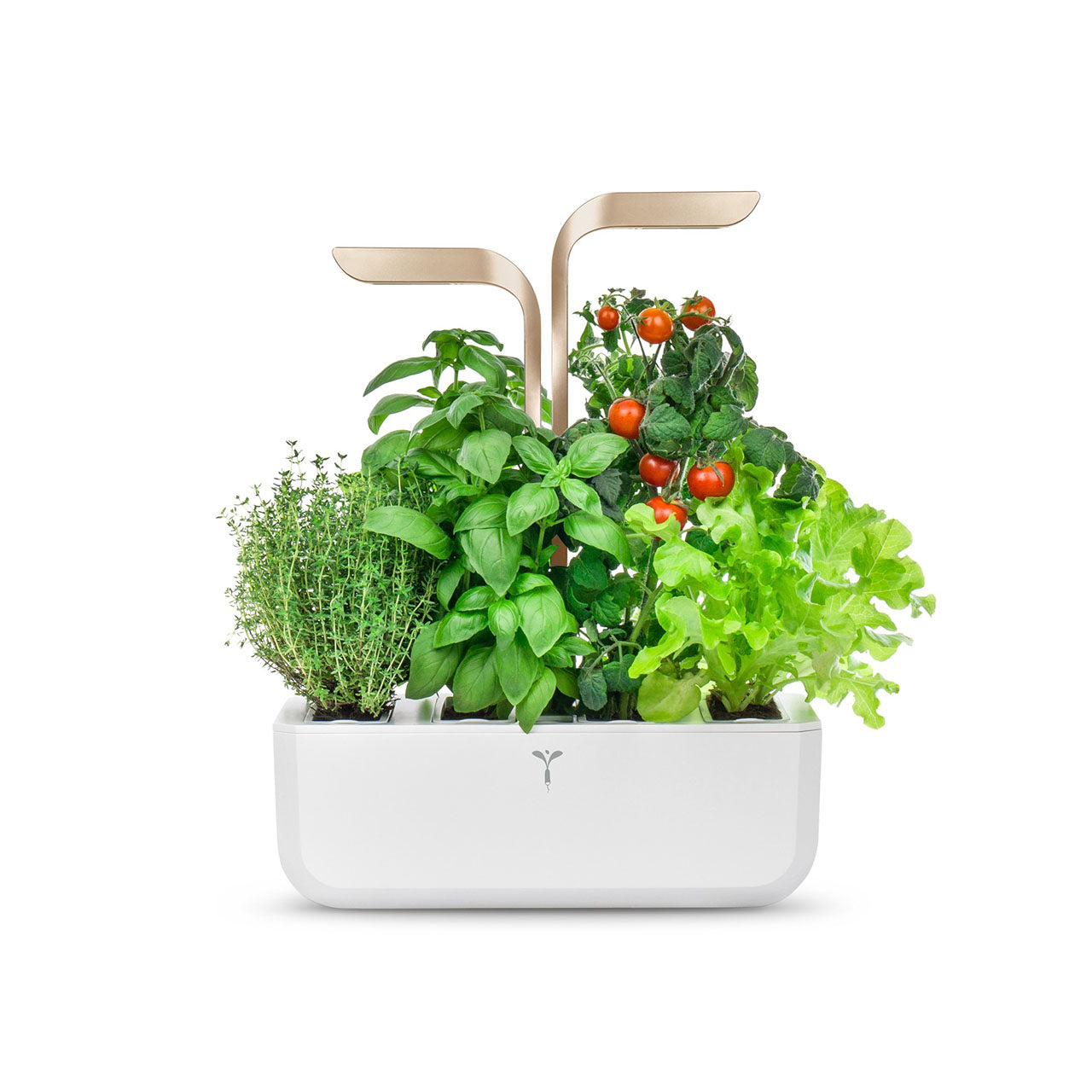 Veritable Connect Indoor Garten
