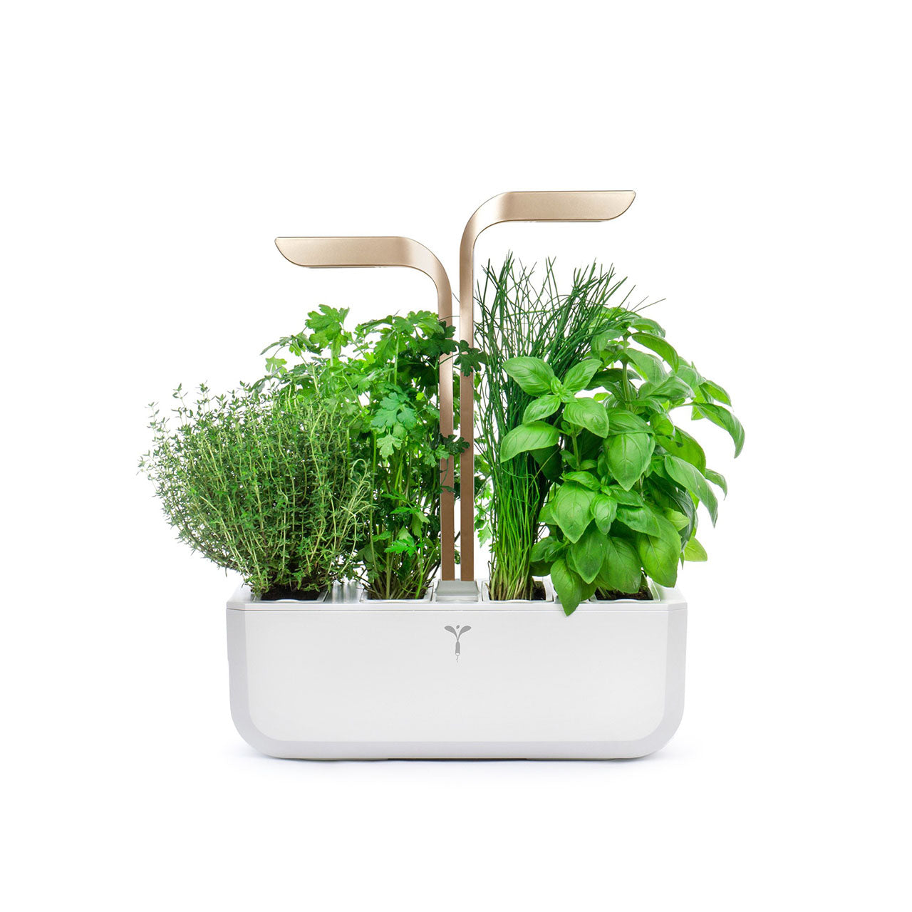 Veritable Connect Indoor Garten