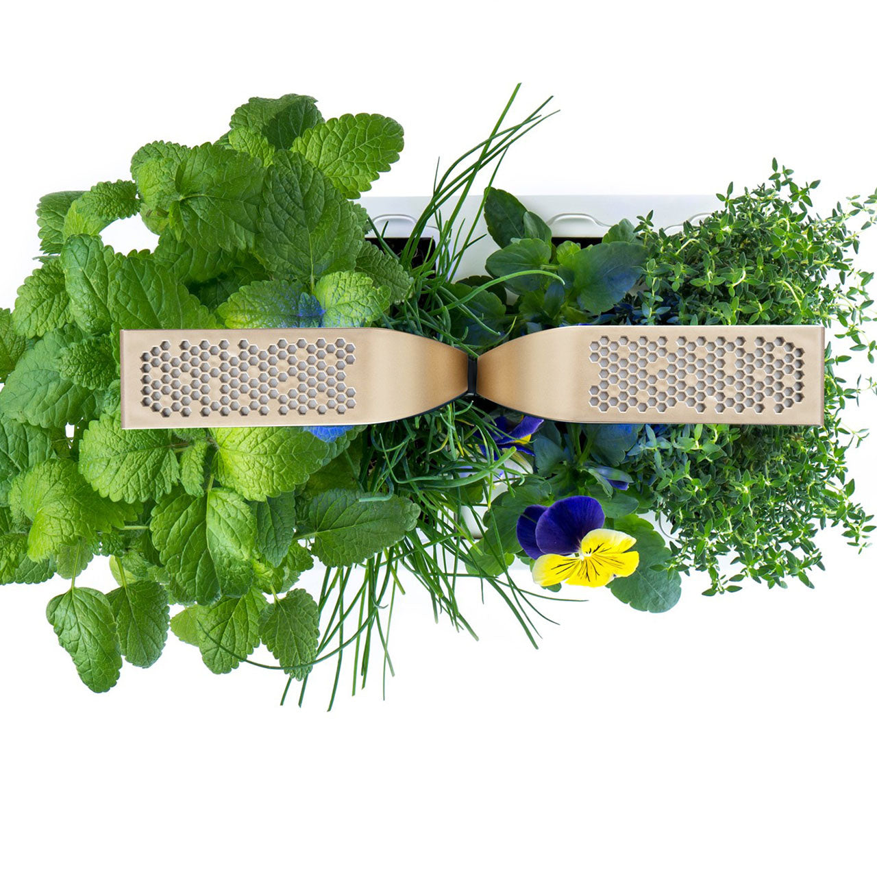 Veritable Connect Indoor Garten