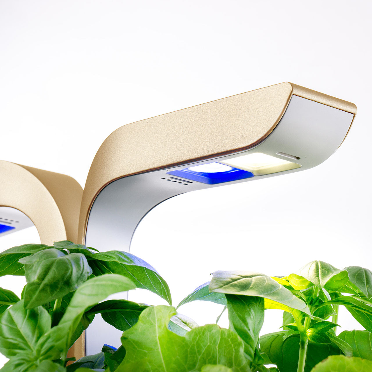 Veritable Connect Indoor Garten