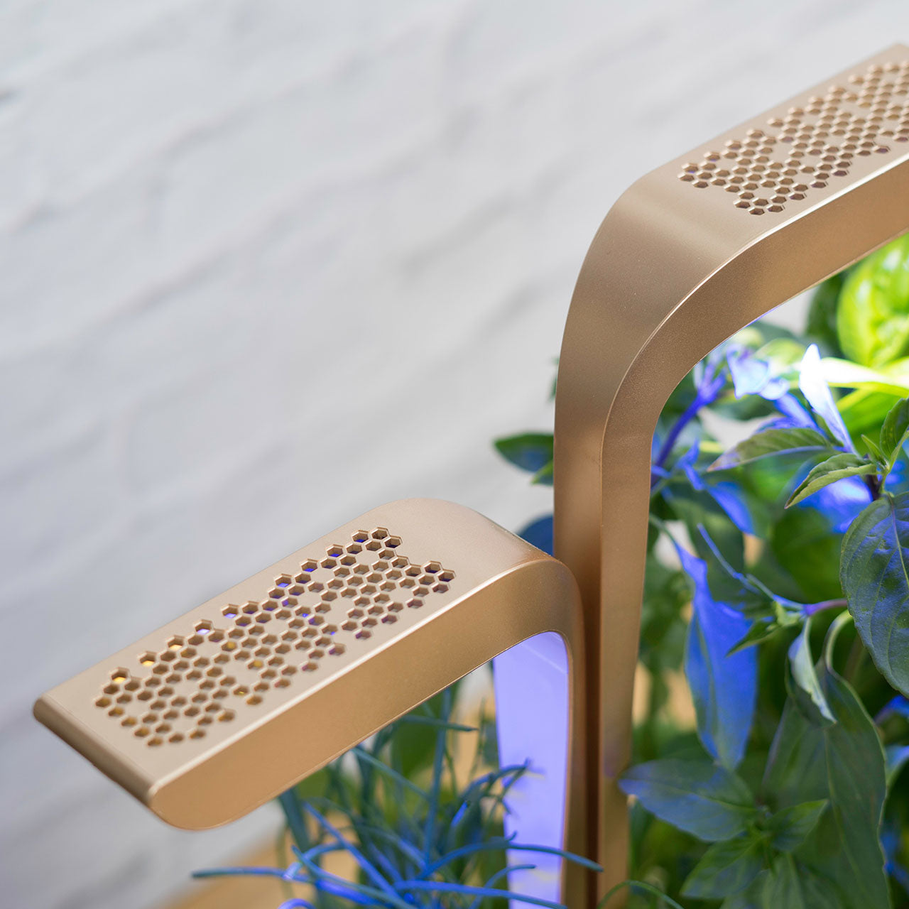 Veritable Connect Indoor Garten