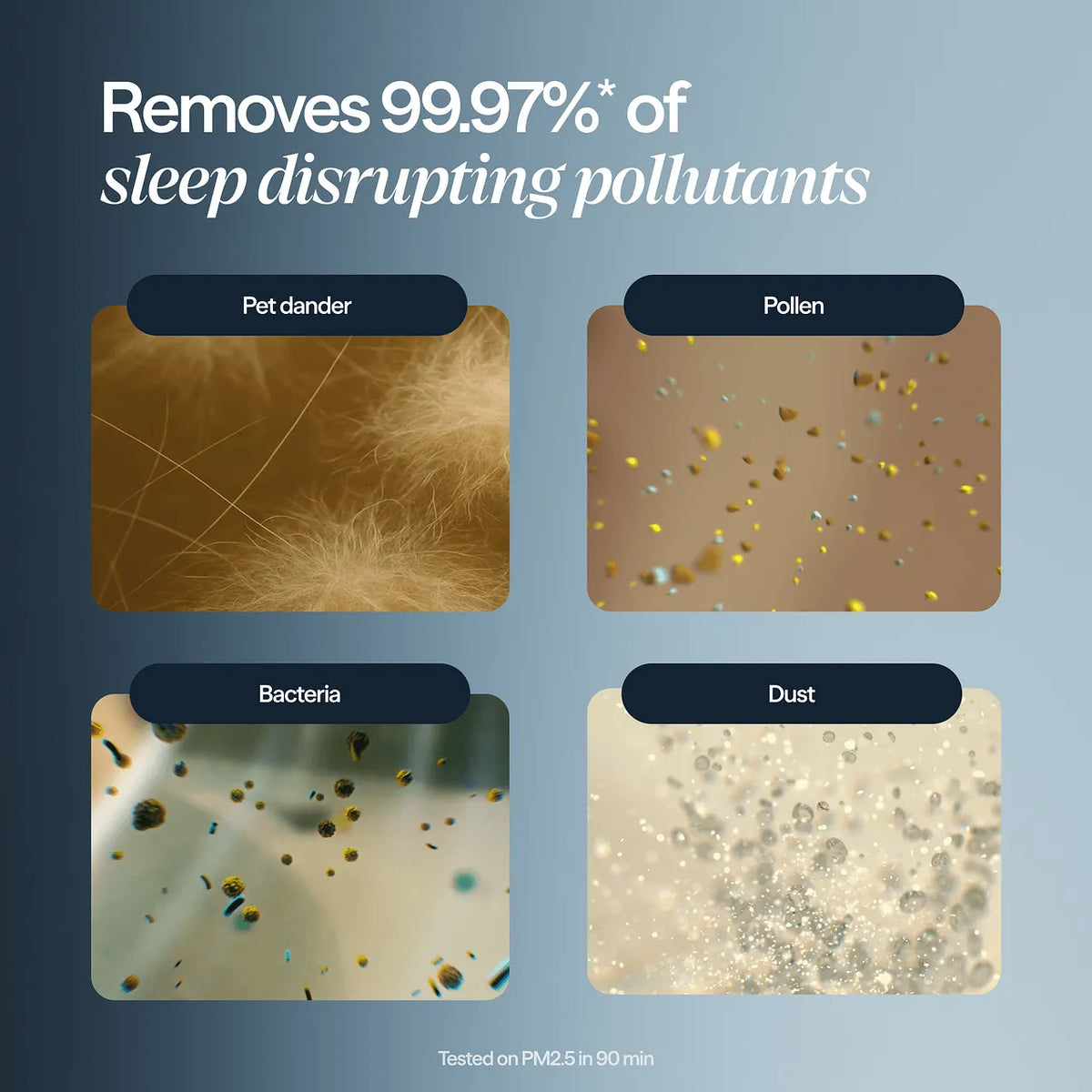 Grafik mit vier Nahaufnahmen zu Tierhaaren, Pollen, Bakterien und Staub, entfernt von Blueair Mini Restful Luftreiniger laut Herstellerangabe zu 99,97 %